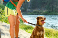 QUICK DRAW LEASH QUICK DRAW LEASH